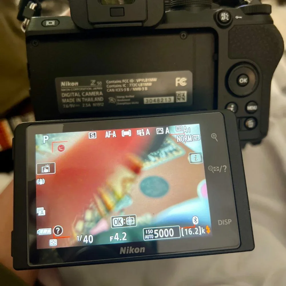 Nikon Z50 (Like New)